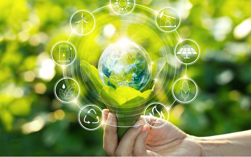 How Kiosks Collect Real-Time Data